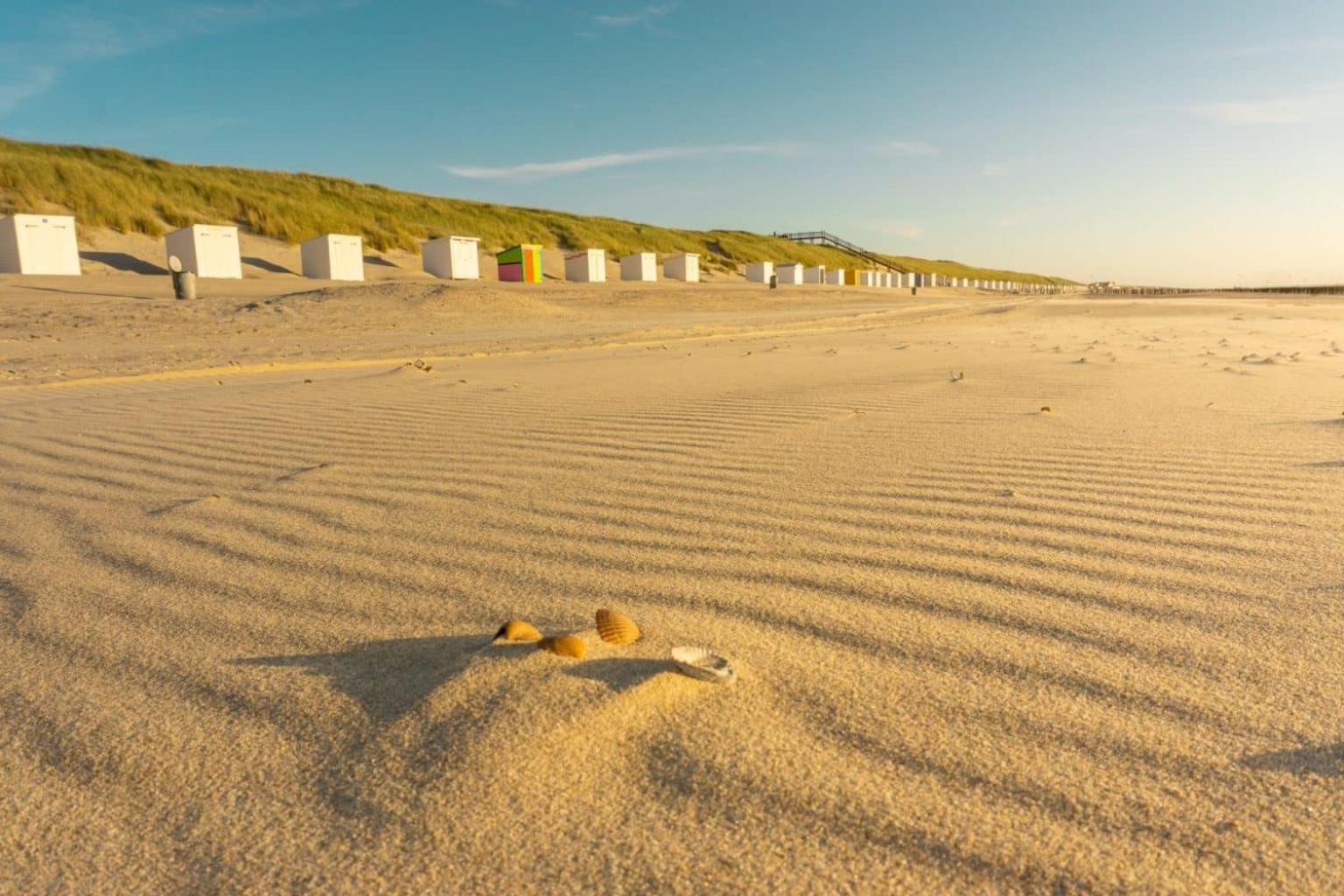 'Relax Lodge Sea' - Wellness Lodge In Zeeland - Private Sauna - Airco - Garden - Outdoor Swimming Pool - Free Wifi, Towels & Bed Linen Heinkenszand Екстер'єр фото